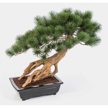 Artificial Bonsai Pine SARINU in planter, 22"/55cm Artificial Bonsai Pine SARINU in planter, 22"/55cm
