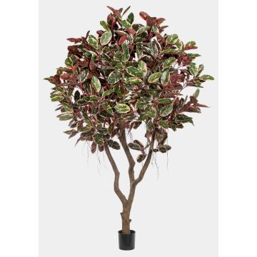 Artificial Ficus elastica THIM, artificial trunk, red-white-green, 10ft/295cm