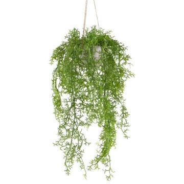 Decorative hanging moss fern hanging basket KLUHER, cement pot, green, 90cm