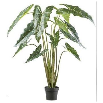 Artificial plant Alocasia Sanderiana NARLO, decorative pot, green, 5ft/160cm