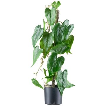 Artificial flamingo flower TROMLEN, aerial roots, green, 26"/65cm Artificial flamingo flower TROMLEN, aerial roots, green, 26"/65cm