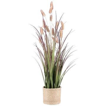 False grass Hare's tail KERNA in a basket, with panicles, pink, 24"/60cm