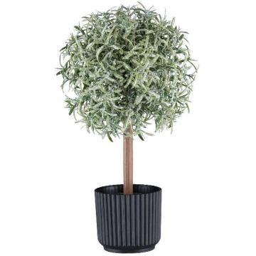 Decorative Rosemary Plant, tall stem, WINDAR, frosted, decorative pot, green-white, 10"/26cm