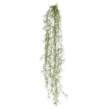 Artificial succulent Tillandsia usneoides BLIMFY, spike, hanging, dark green, 31"/80cm