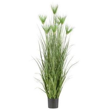Artificial cyperus papyrus WURKA, green, 6ft/180cm