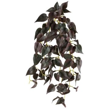 Decorative hanging plant: JURJYS variegated nettle, on a stake, burgundy, 30 cm
