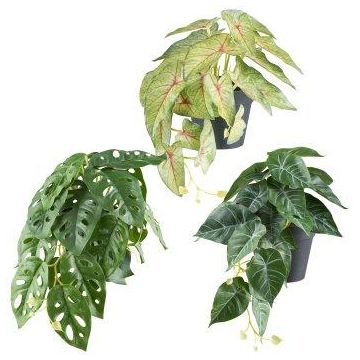 Hanging Artificial Plant Mix REFIS, Calathea Ornata, Adanson's Monstera, Caladium, 3 pieces, decorative pot, green-multicoloured, 12"/30cm, Ø8"/20cm Hanging Artificial Plant Mix REFIS, Calathea Ornata, Adanson's Monstera, Caladium, 3 pieces, decorative pot, green-multicoloured, 12"/30cm, Ø8"/20cm