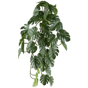 Decorative hanging plant Philodendron Monstera Deliciosa TRANE, spike, 20"/50cm