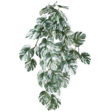 Decorative hanging plant Philodendron Monstera Deliciosa Variegata TRANE, spike, green-white, 20"/50cm