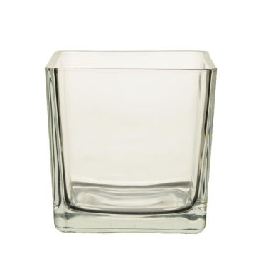 Plant pot glass KIM AIR, clear, 5.5"x5.5"x5.5"/14x14x14cm