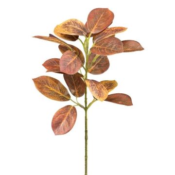 Decorative branch Cotinus coggygria SULKON, brown-red, 16"/40cm