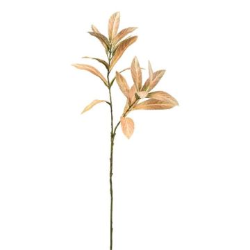 Decorative branch of bay laurel BRENTA, light brown, 30"/75cm Decorative branch of bay laurel BRENTA, light brown, 30"/75cm