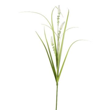 Decorative branch of fountain grass KOVLIN with panicles, cream-green, 26"/65cm