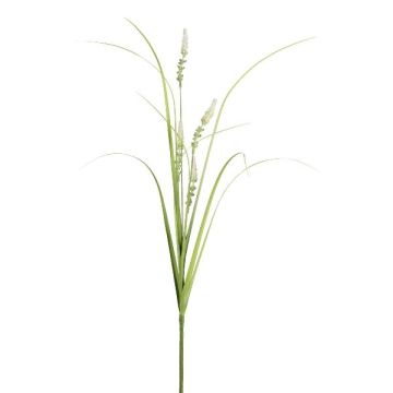 Decorative branch of fountain grass KOVLIN with panicles, cream-green, 31"/80cm
