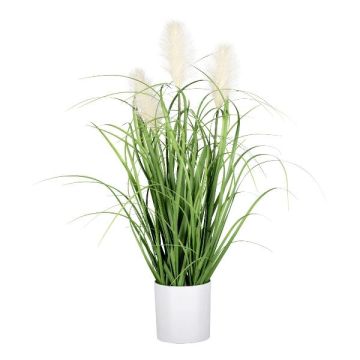 Decorative grass Pampas grass PANCHE in decorative pot, panicles, cream, 24"/60cm