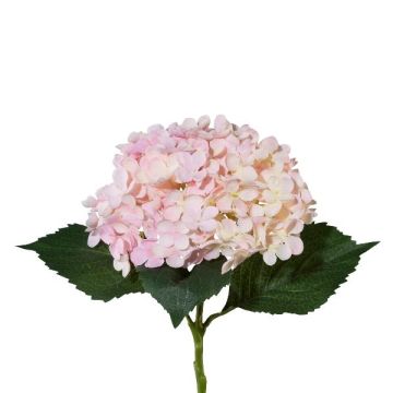 Artificial flower Hydrangea ZURTO, light pink, 22"/55cm Artificial flower Hydrangea ZURTO, light pink, 22"/55cm