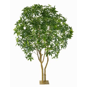 Artificial Pachira tree RAXELI on a plinth, artificial trunks, green, 9ft/285cm Artificial Pachira tree RAXELI on a plinth, artificial trunks, green, 9ft/285cm