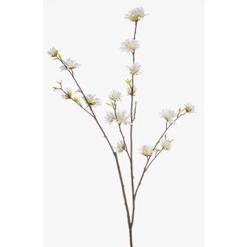 ZAVNER decorative witch hazel branch with flowers, white, 110cm