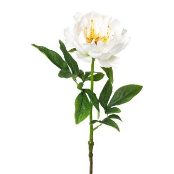 Artificial flower Peony PEFIN, white, 20"/50cm Artificial flower Peony PEFIN, white, 20"/50cm