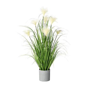 Decorative grass Pampas grass VILMO in decorative pot, panicles, cream, 30"/75cm