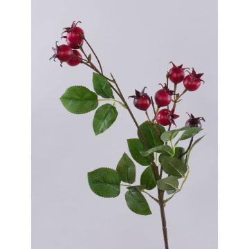 Decorative potato rose branch LOPUNY with rose hips, red, 28"/70cm Decorative potato rose branch LOPUNY with rose hips, red, 28"/70cm