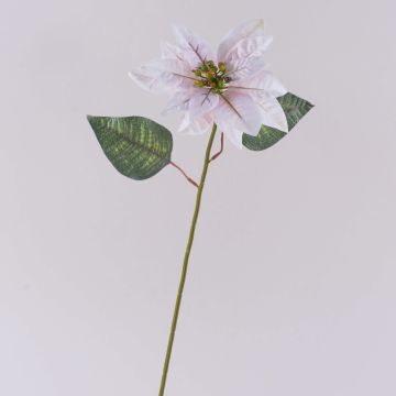 Artificial velvet poinsettia LIBASSE, white-pink, 45cm