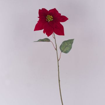 Artificial velvet poinsettia LIBASSE, dark red, 65cm