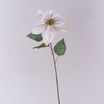 Artificial velvet poinsettia LIBASSE, white-pink, 65cm