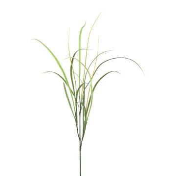 Decorative branch Reed grass SLIRFT, green, 4ft/115cm