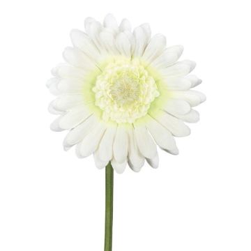 Artificial flower Gerbera TUNZA, cream, 20"/50cm Artificial flower Gerbera TUNZA, cream, 20"/50cm