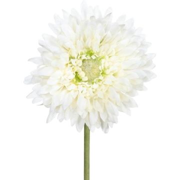 Artificial flower Gerbera MOLZA, cream, 24"/60cm Artificial flower Gerbera MOLZA, cream, 24"/60cm