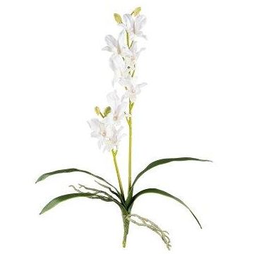 Artificial Dendrobium Sonia orchid NELTI, spike, roots, white, 24"/60cm