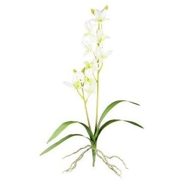 Artificial Dendrobium Sonia orchid NELTI, spike, roots, light green, 24"/60cm
