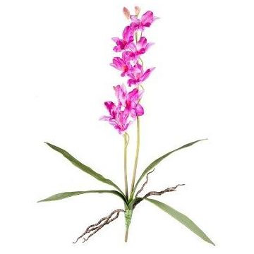 Artificial Dendrobium Sonia orchid NELTI, spike, roots, purple, 24"/60cm