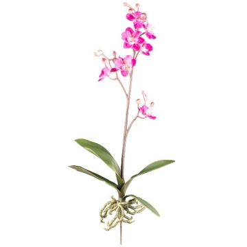 Artificial Phalaenopsis orchid MALZA, spike, roots, cerise, 22"/55cm