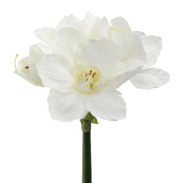 Artificial flower Amaryllis WELBA, white, 26"/65cm