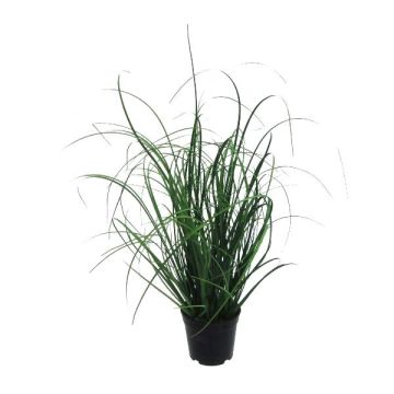 Artificial grass Pennisetum KIVRA, green, 20"/50cm