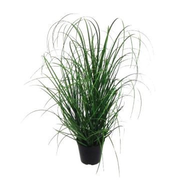 Artificial grass Pennisetum KIVRA, green, 30"/75cm