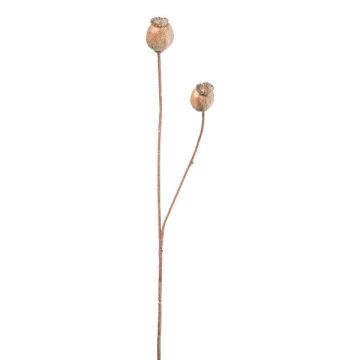 Decorative branch Poppy capsules ORIONLA, light brown, 26"/65cm Decorative branch Poppy capsules ORIONLA, light brown, 26"/65cm