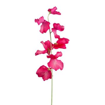 Artificial flower Lathyrus latifolius TERRAT, fuchsia, 20"/50cm