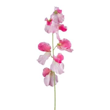Artificial flower Lathyrus latifolius TERRAT, pink, 20"/50cm