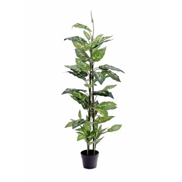 Fake Dieffenbachia DANY, on spike, green-white, 4ft/120cm