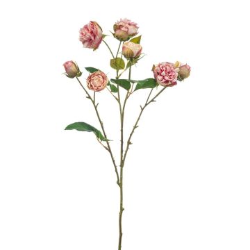 TRUVOL artificial cabbage rose branch, pink-cream, 65cm, Ø2–6cm