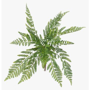 Artificial maidenhair fern STIGOR on a stake, crossdoor, green, 22"/55cm Artificial maidenhair fern STIGOR on a stake, crossdoor, green, 22"/55cm