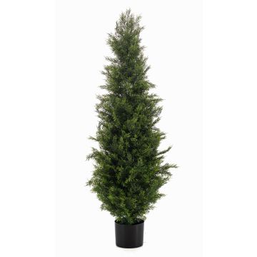 Artificial cedar ZARGEN, crossdoor, green, 4ft/120cm Artificial cedar ZARGEN, crossdoor, green, 4ft/120cm