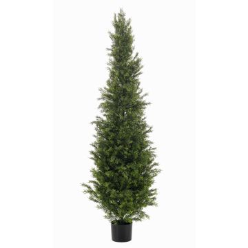 Artificial cedar ZARGEN, crossdoor, green, 5ft/150cm Artificial cedar ZARGEN, crossdoor, green, 5ft/150cm