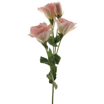 False Lisianthus ALARONA, pink-cream, 22"/55cm