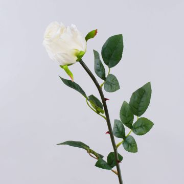 SUNJIK artificial rose, cream, 75cm, Ø7cm