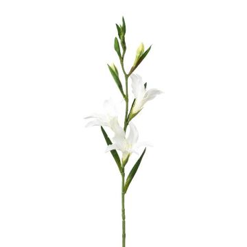 Artificial flower Gladiolus LUNDYL, white, 28"/70cm