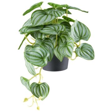 Artificial plant: dwarf pepper LUMHER, decorative pot, hanging, green-grey, 9"/24cm Artificial plant: dwarf pepper LUMHER, decorative pot, hanging, green-grey, 9"/24cm